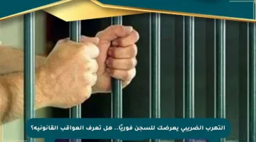 التهرب الضريبي يعرضك للسجن فوريًا.. هل تعرف العواقب القانونية؟